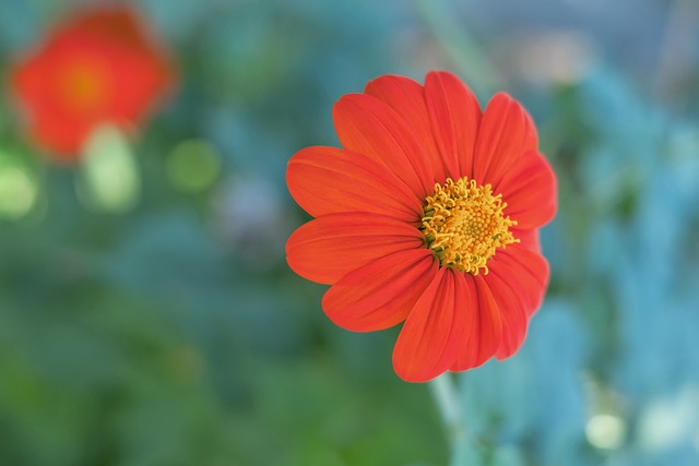 墨尔本胜利队长：我们正处在艰难时期，需要全队一起改变局面