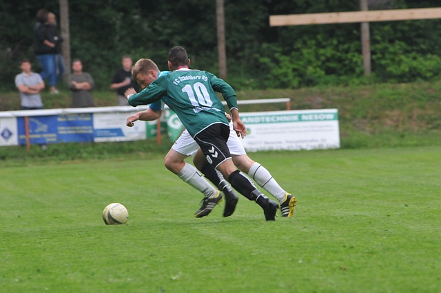 东契奇推动湖人交易字母哥，詹姆斯或否决